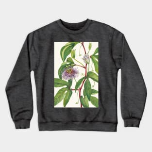 Maypop Passionflower - Botanical Illustration Crewneck Sweatshirt